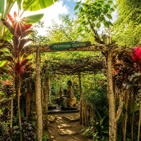 Bucu Hidden Guest House, And Meditation Center