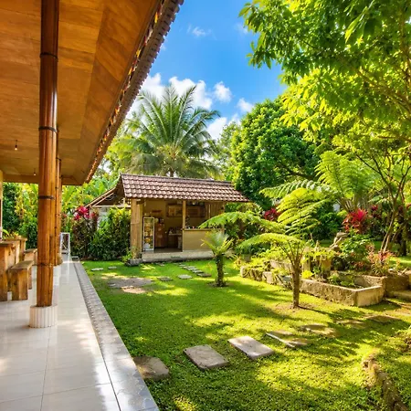 Bucu Hidden Guest House, And Meditation Center