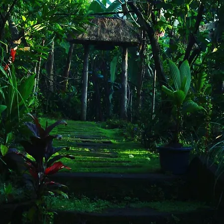 Bucu Hidden Guest House, And Meditation Center