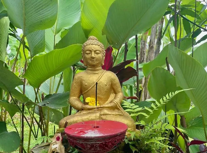 Bucu Hidden Guest House, And Meditation Center ゲストハウス