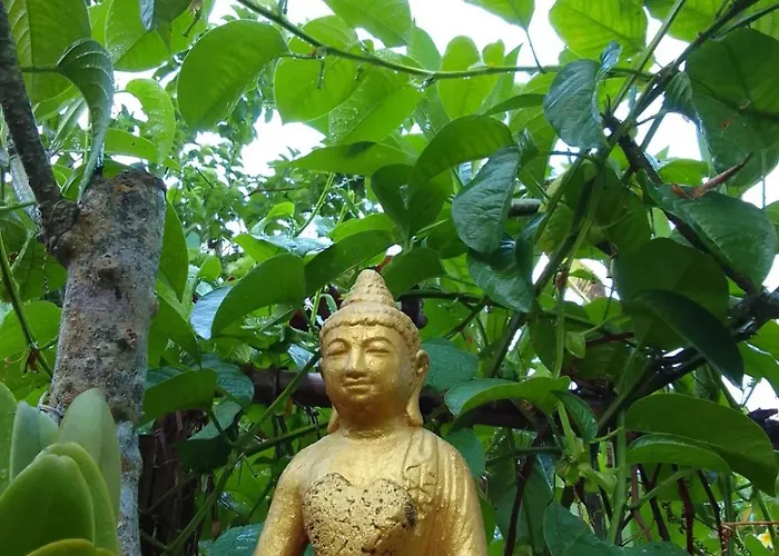 ゲストハウス Bucu Hidden Guest House, And Meditation Center パヤンガン