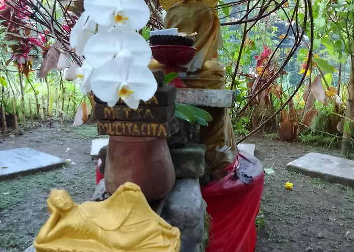 Bucu Hidden Guest House, And Meditation Center 2*