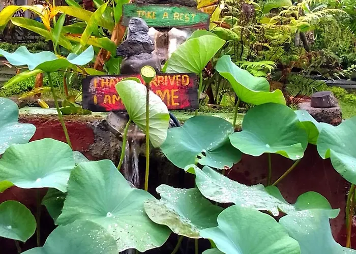 ゲストハウス Bucu Hidden Guest House, And Meditation Center