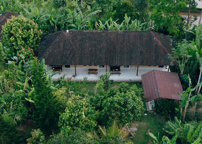 Bucu Hidden Guest House, And Meditation Center ゲストハウス 2*