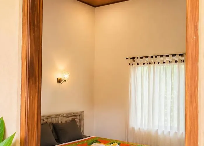 Bucu Hidden Guest House, And Meditation Center