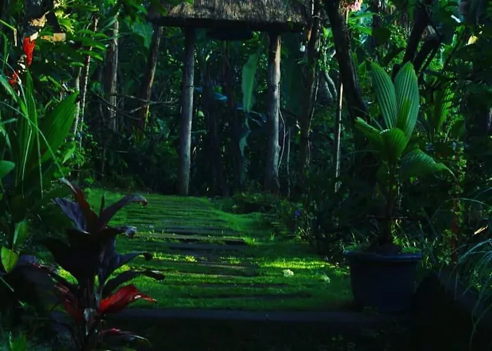 Bucu Hidden Guest House, And Meditation Center ゲストハウス パヤンガン
